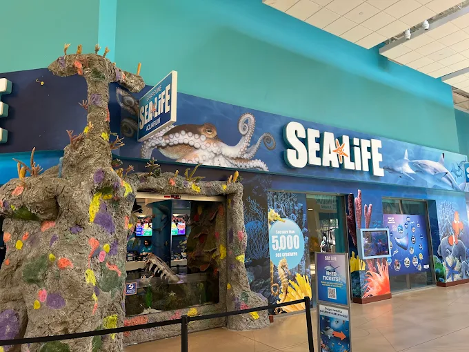 SEA LIFE Aquarium – Grapevine