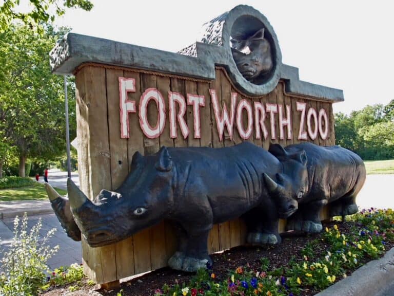 Ultimate Guide to Fort Worth Zoo with Kids (2025)